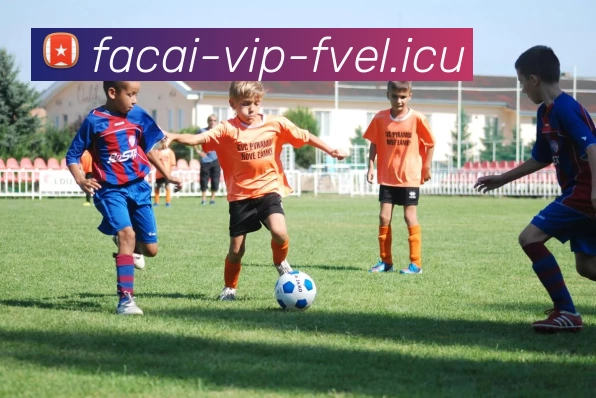 乐鱼体育品牌故事