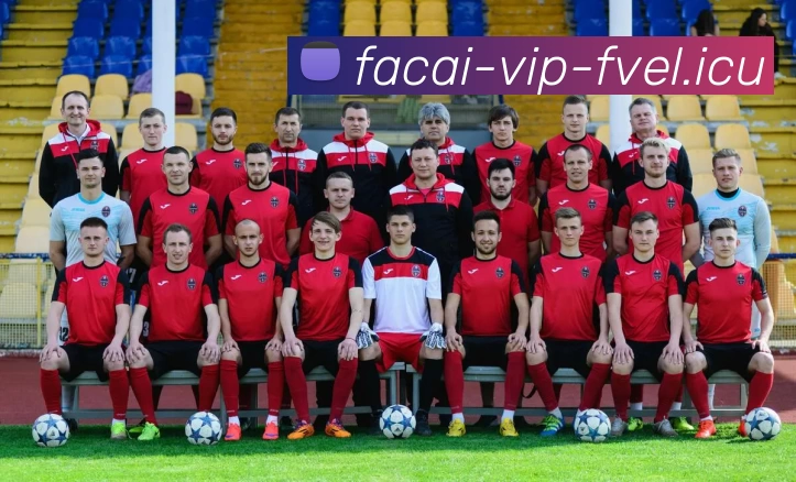 乐鱼体育服务体系