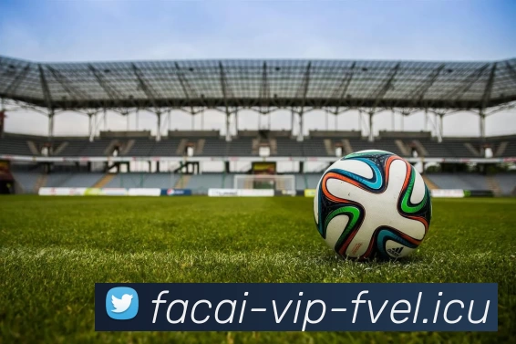 乐鱼体育APP 体育赛事宣传图